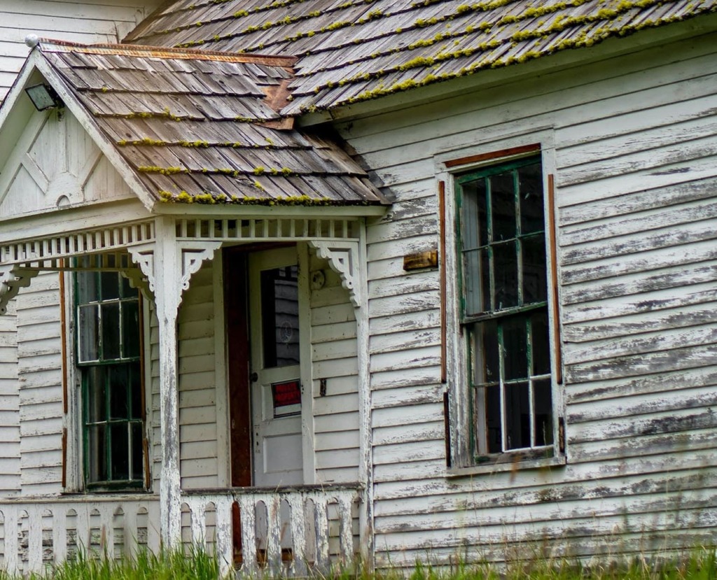 Moldy home in need of exterior remodeling or the best homemade vinyl siding cleaner