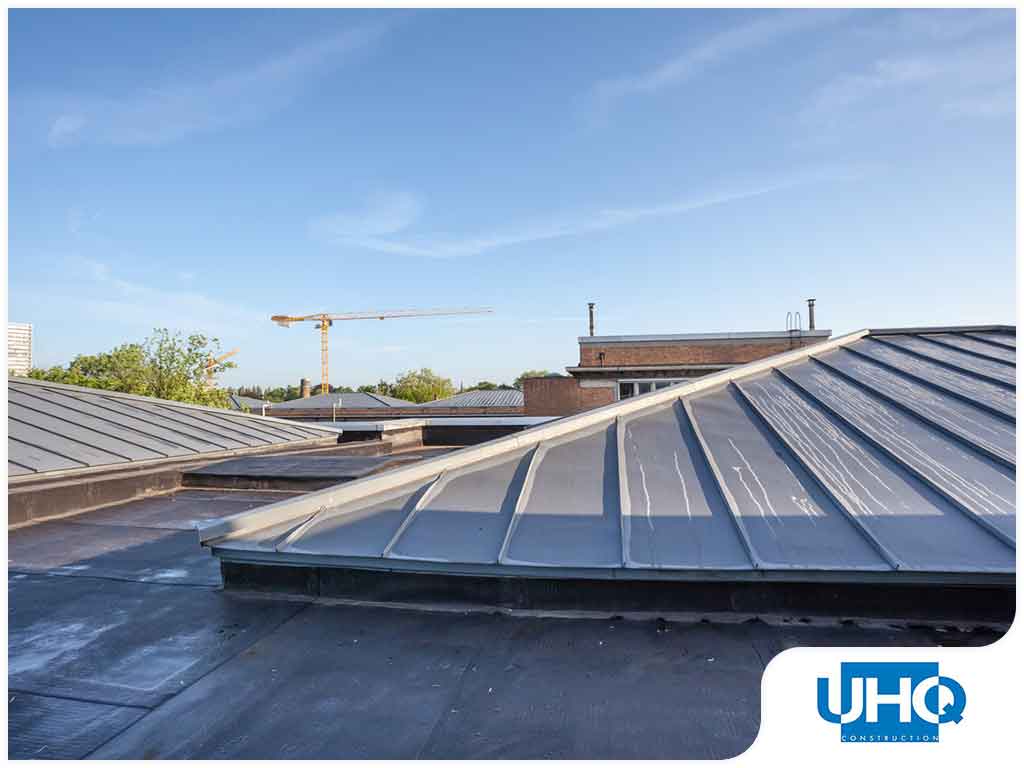 Preventing BirdRelated Damage How to Protect Your Roof UHQ Construction
