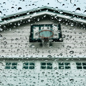 impacts of moisture on siding